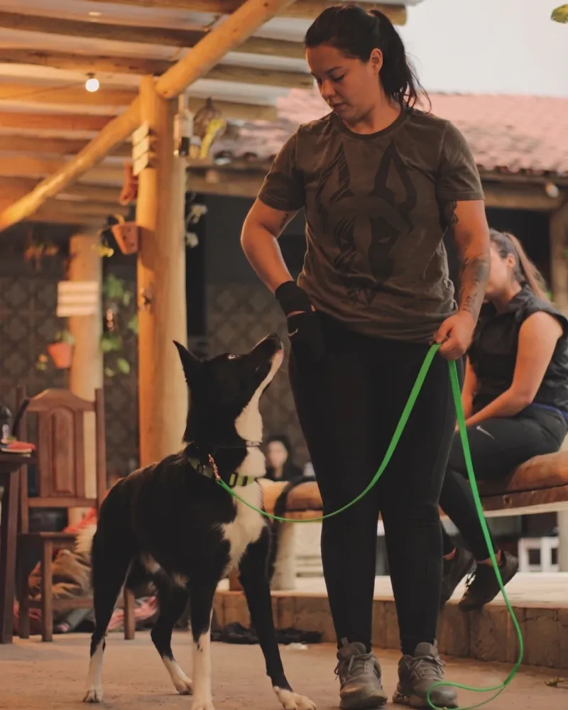 Beatriz Mattos, treinadora comportamental canina