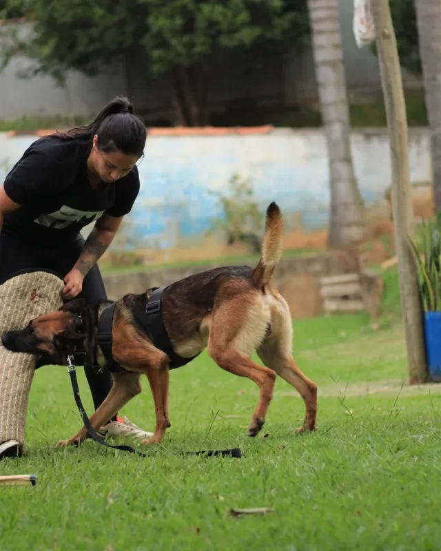 Beatriz Mattos em exercício de manejo com guia durante um atendimento